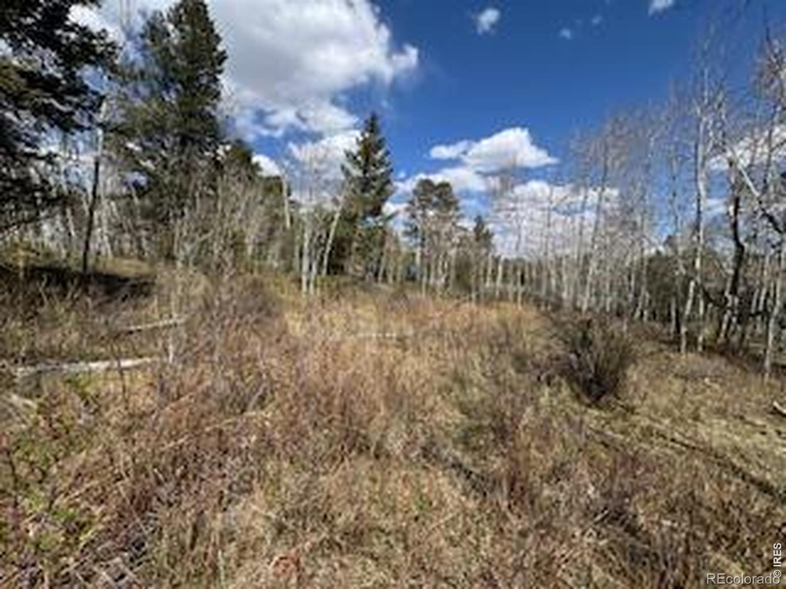 400 Fox Acres Drive W Red Feather Lakes CO 80545
