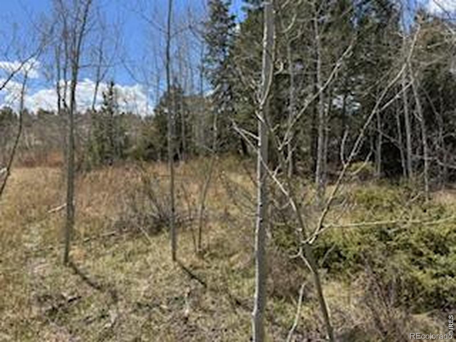 400 Fox Acres Drive W Red Feather Lakes CO 80545