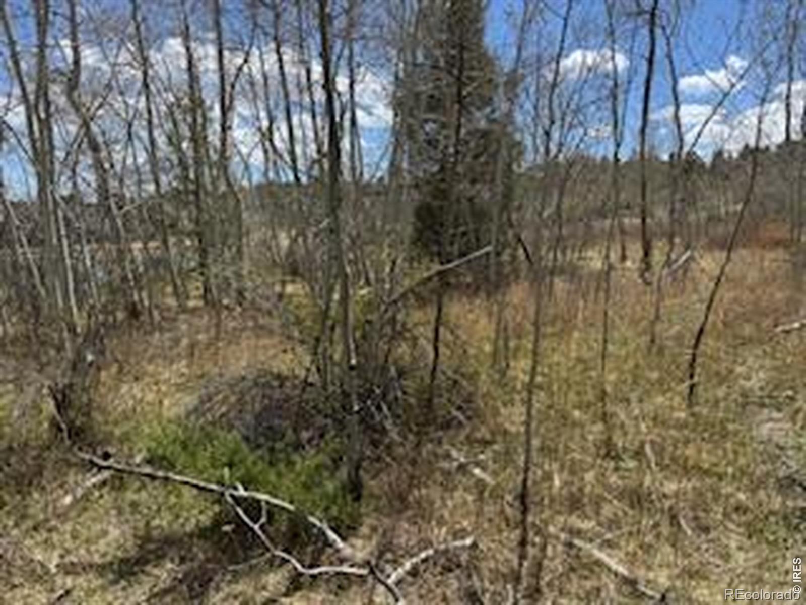 400 Fox Acres Drive W Red Feather Lakes CO 80545