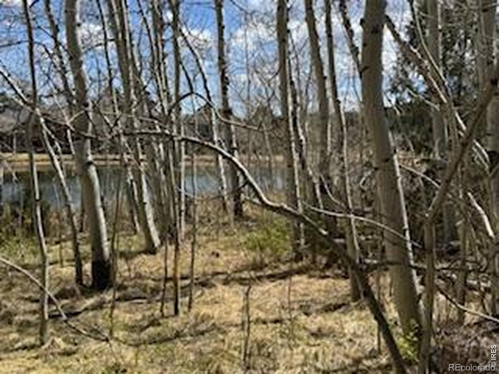 400 Fox Acres Drive W Red Feather Lakes CO 80545