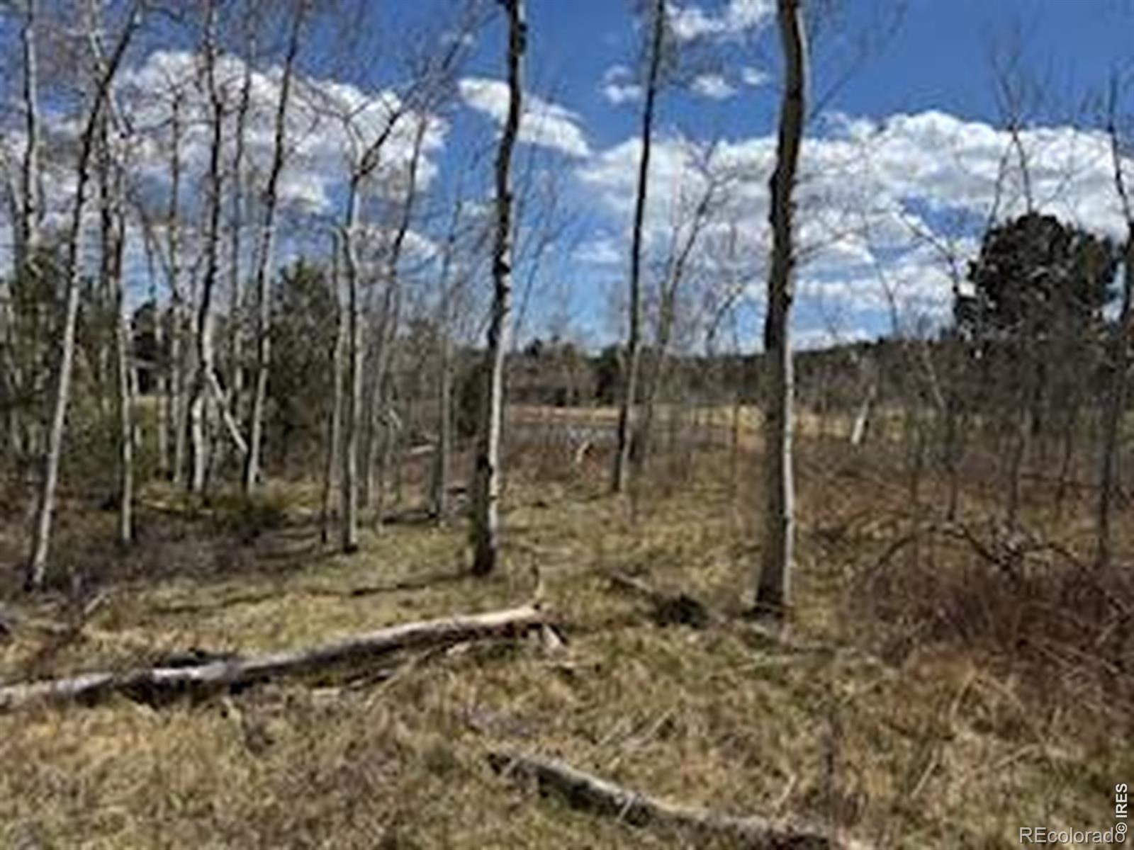 400 Fox Acres Drive W Red Feather Lakes CO 80545