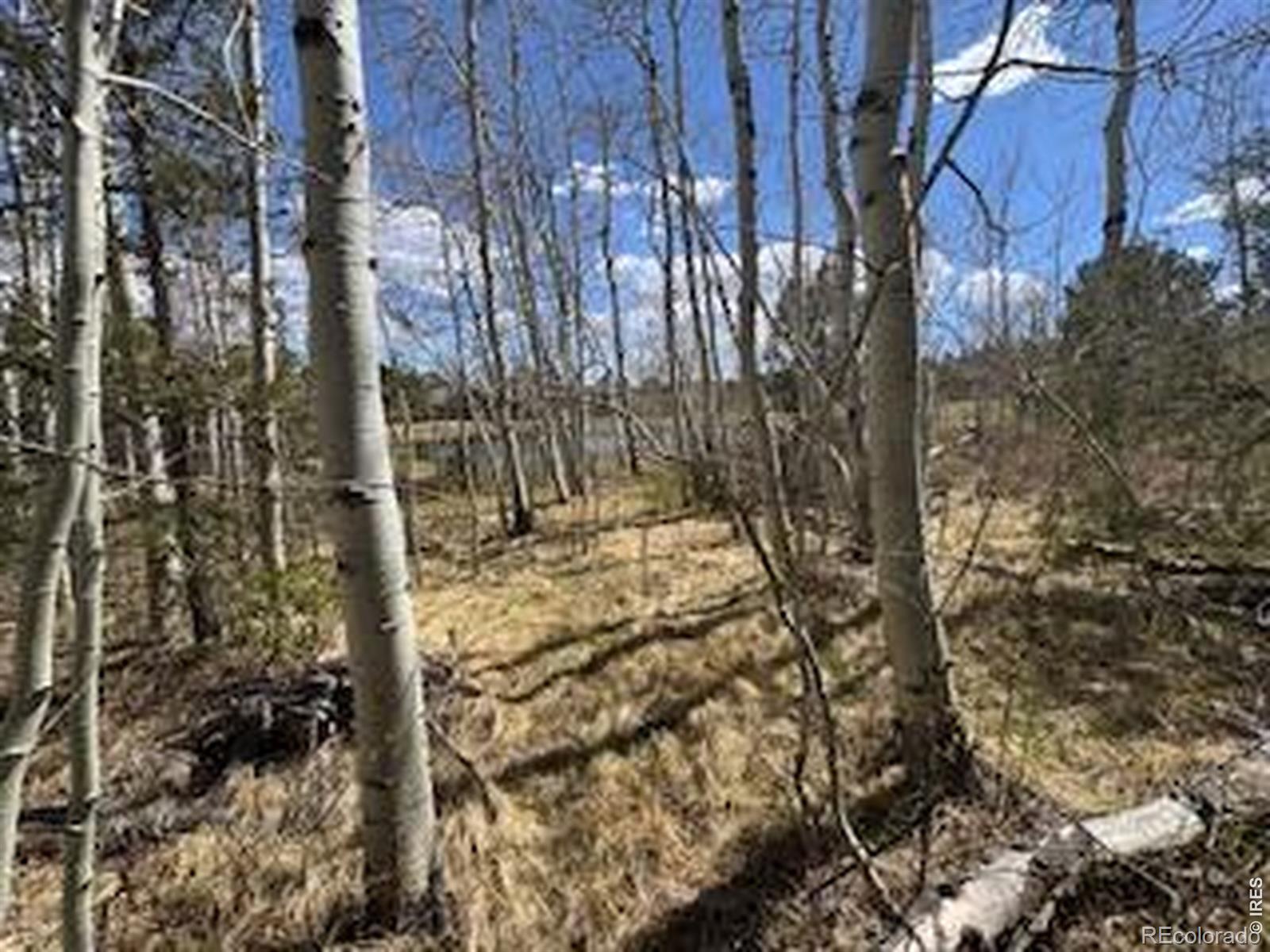 400 Fox Acres Drive W Red Feather Lakes CO 80545