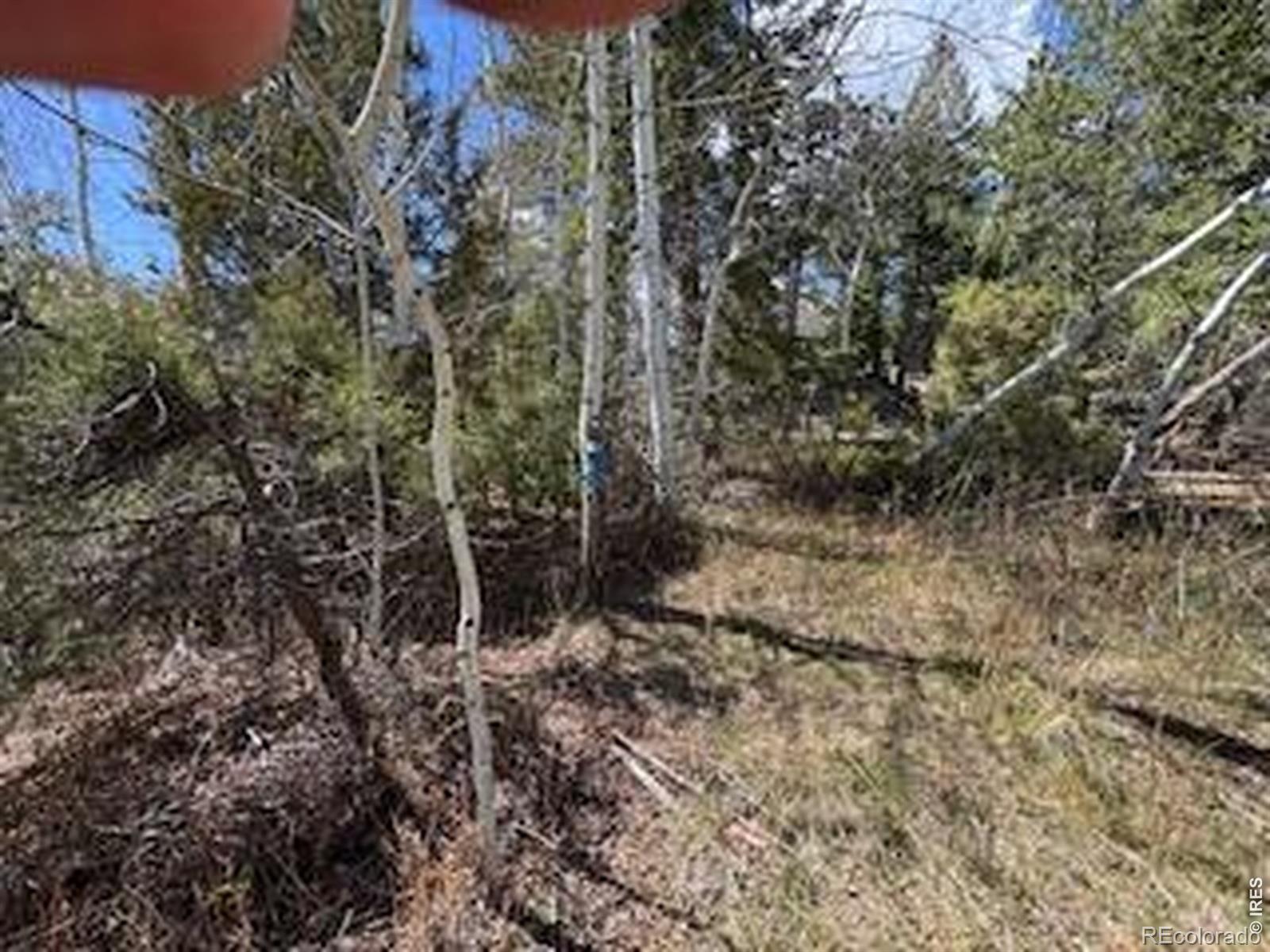 400 Fox Acres Drive W Red Feather Lakes CO 80545
