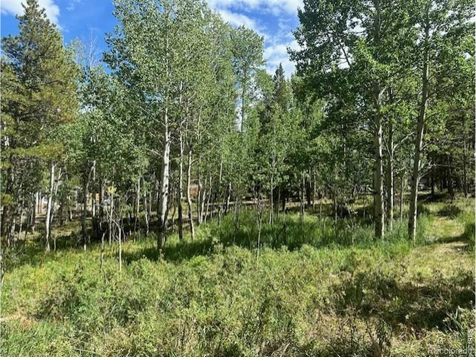 293 Aspen Circle Black Hawk CO 80422