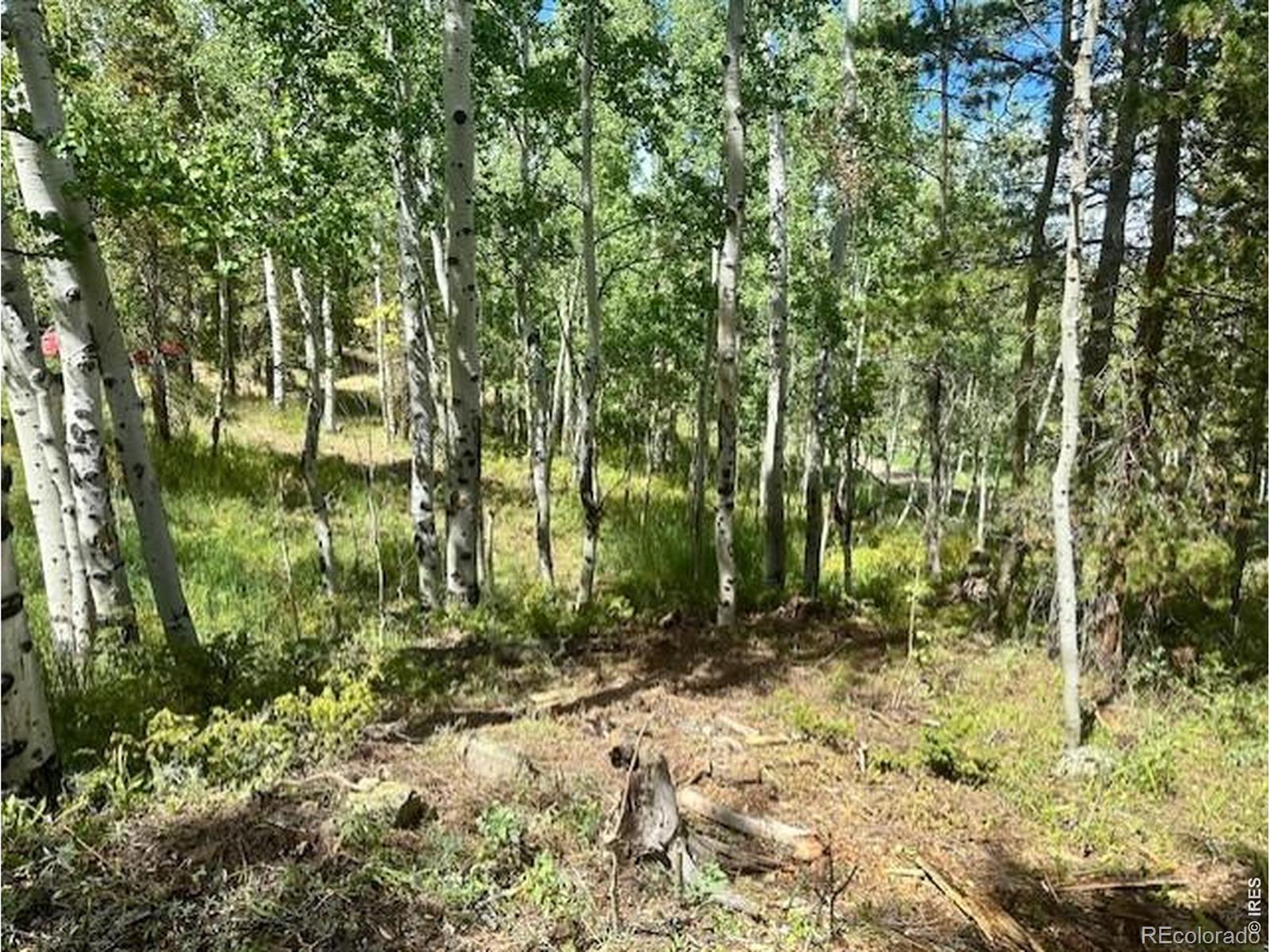 293 Aspen Circle Black Hawk CO 80422