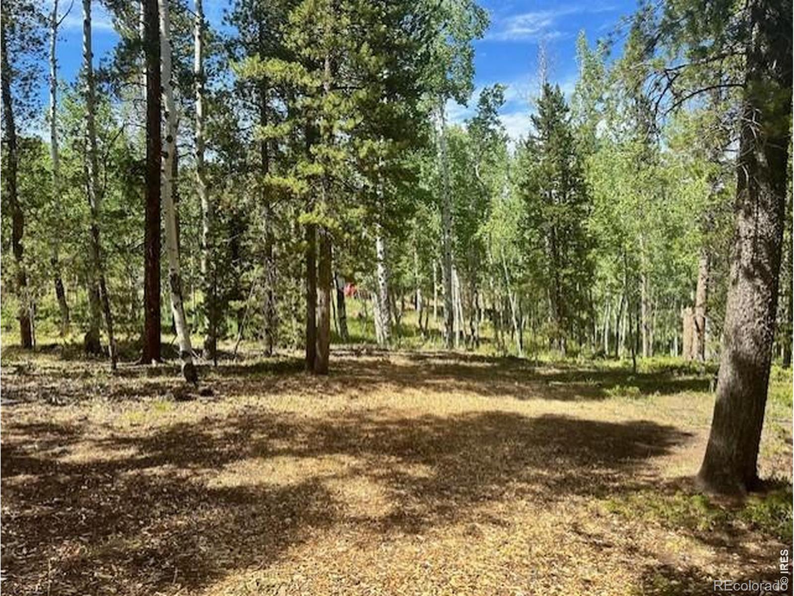 293 Aspen Circle Black Hawk CO 80422