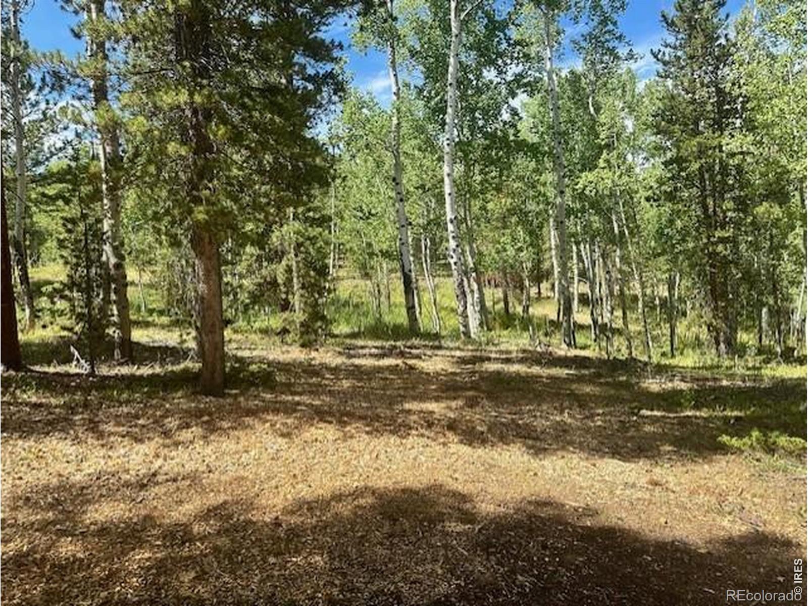 293 Aspen Circle Black Hawk CO 80422