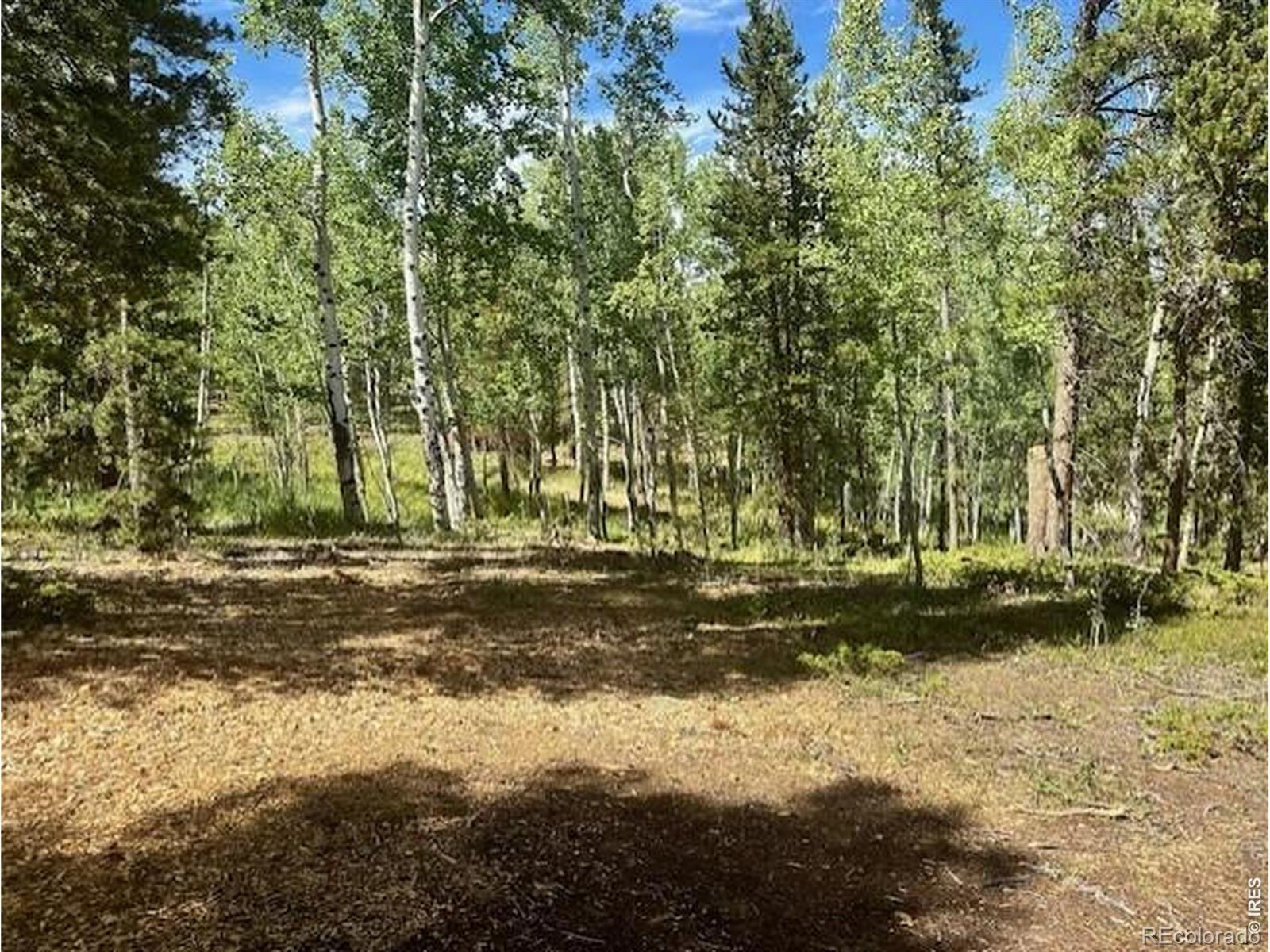 293 Aspen Circle Black Hawk CO 80422