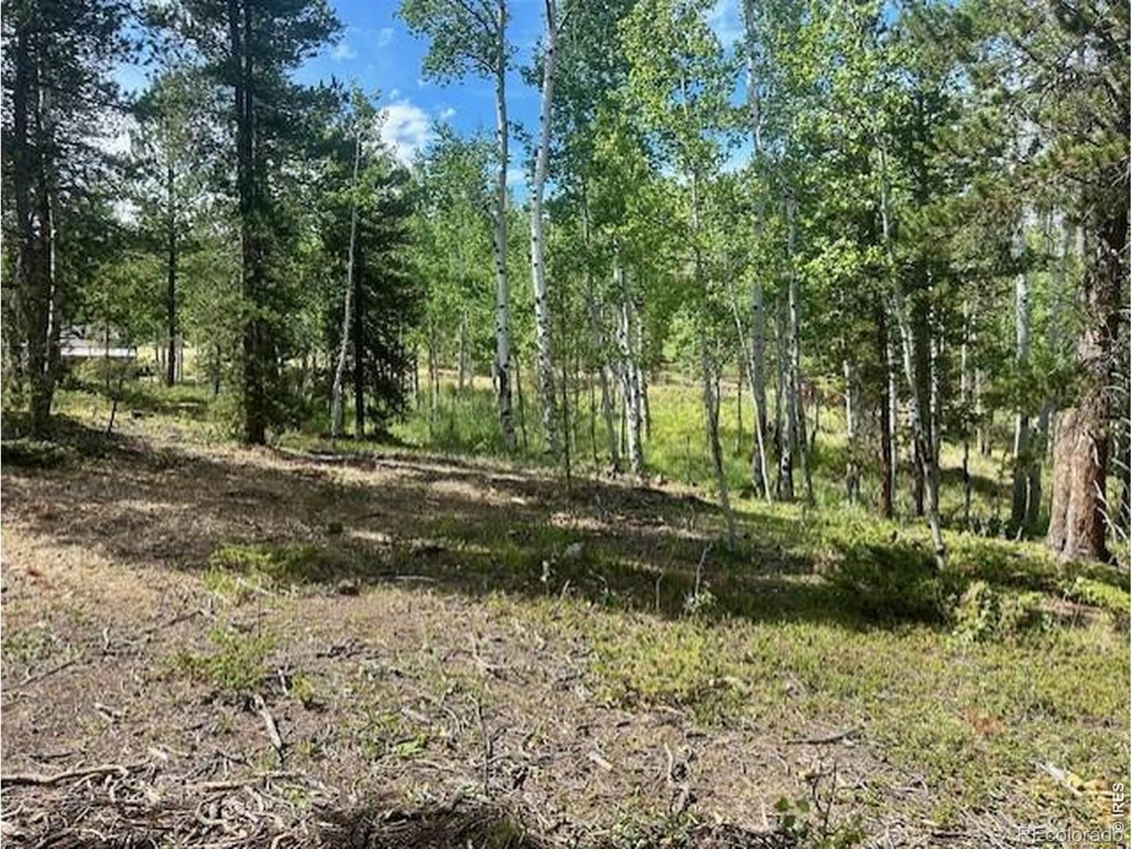 293 Aspen Circle Black Hawk CO 80422