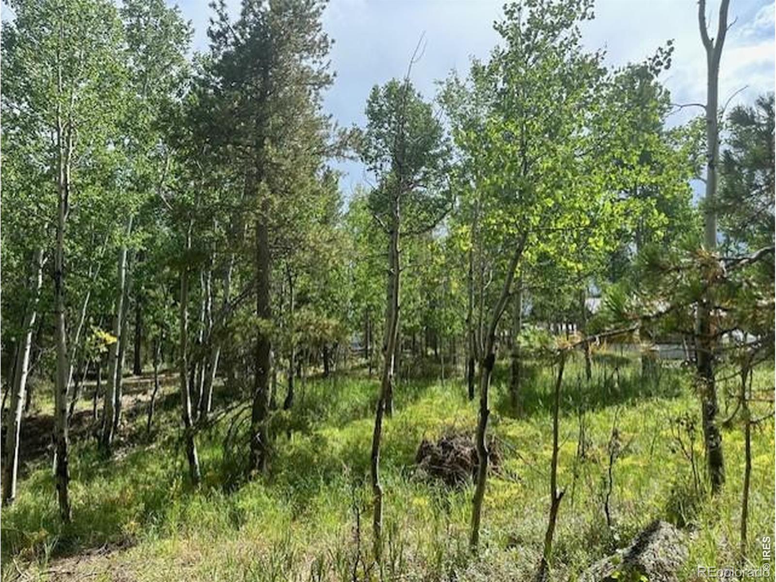 293 Aspen Circle Black Hawk CO 80422