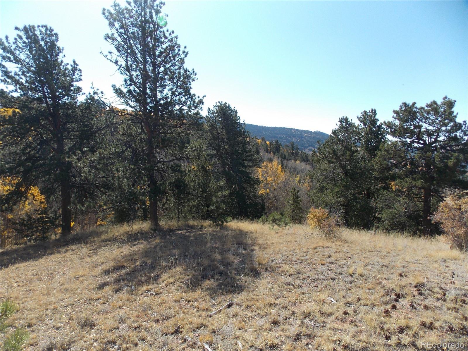 1944 May Queen Drive Cripple Creek CO 80813
