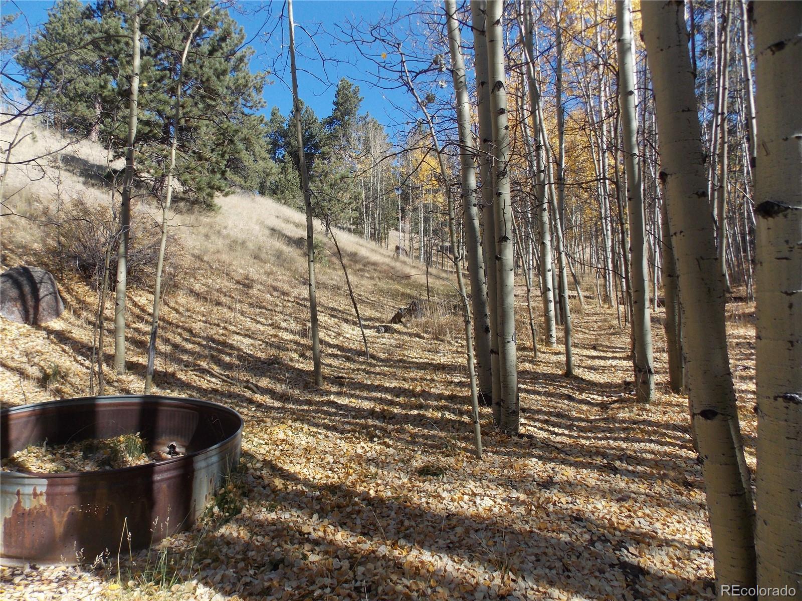 1944 May Queen Drive Cripple Creek CO 80813