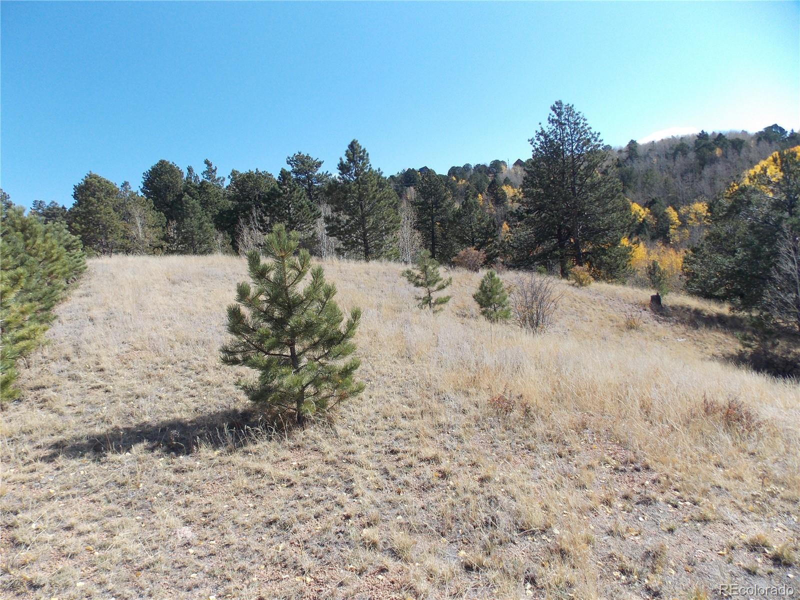 1944 May Queen Drive Cripple Creek CO 80813