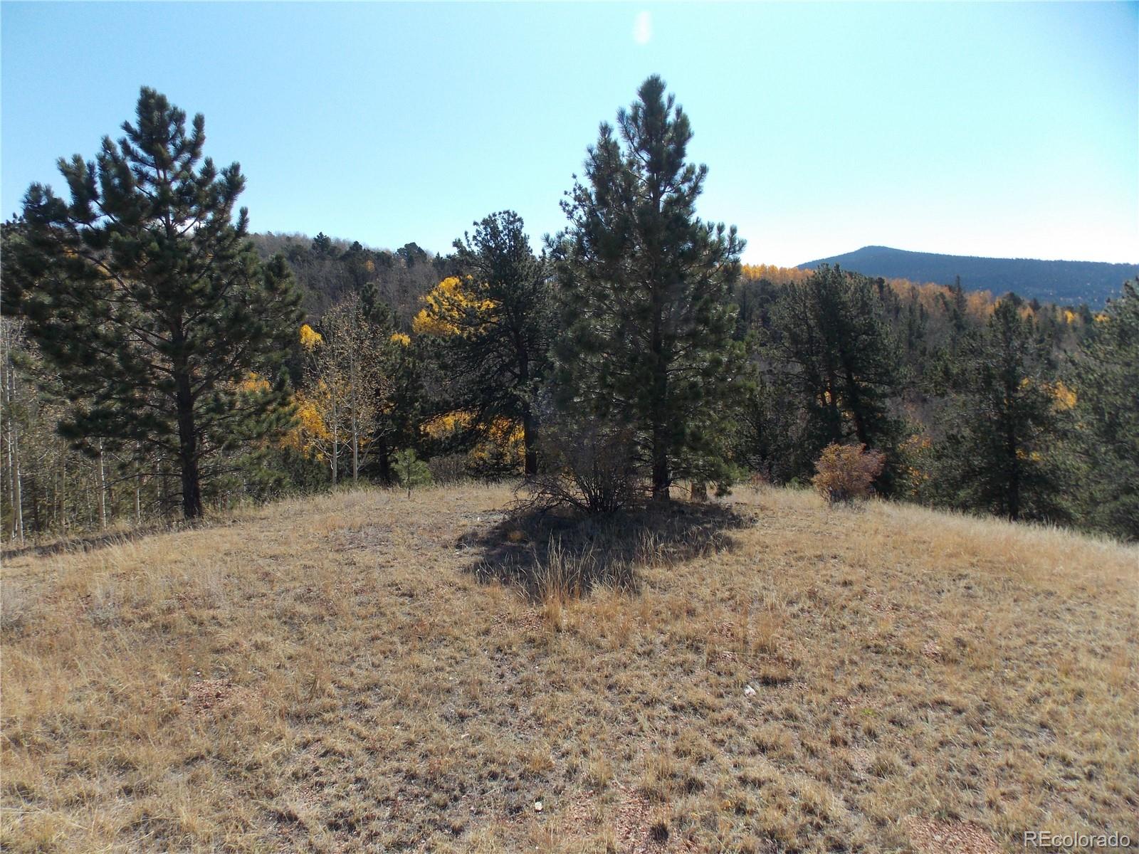 1944 May Queen Drive Cripple Creek CO 80813