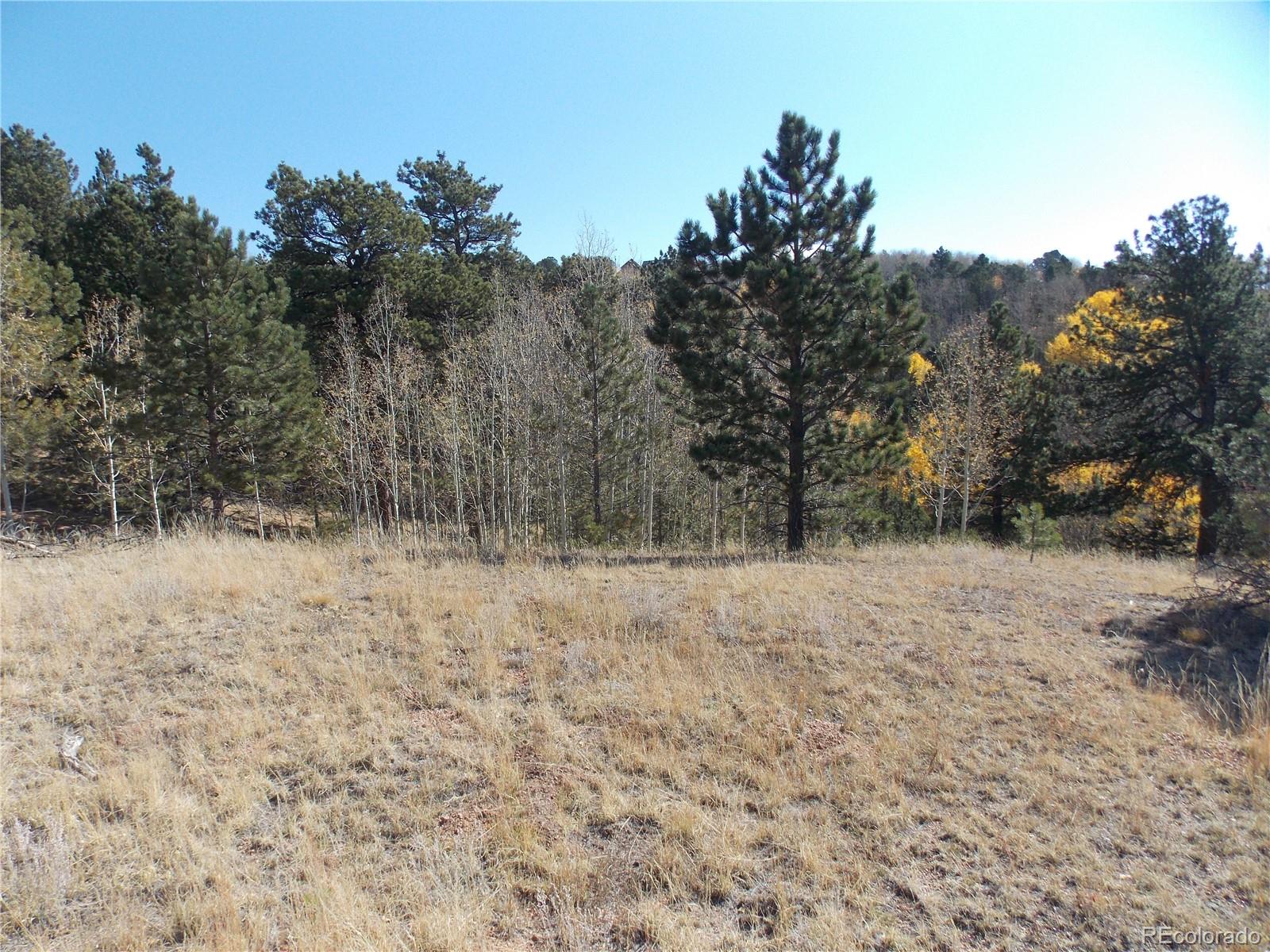 1944 May Queen Drive Cripple Creek CO 80813