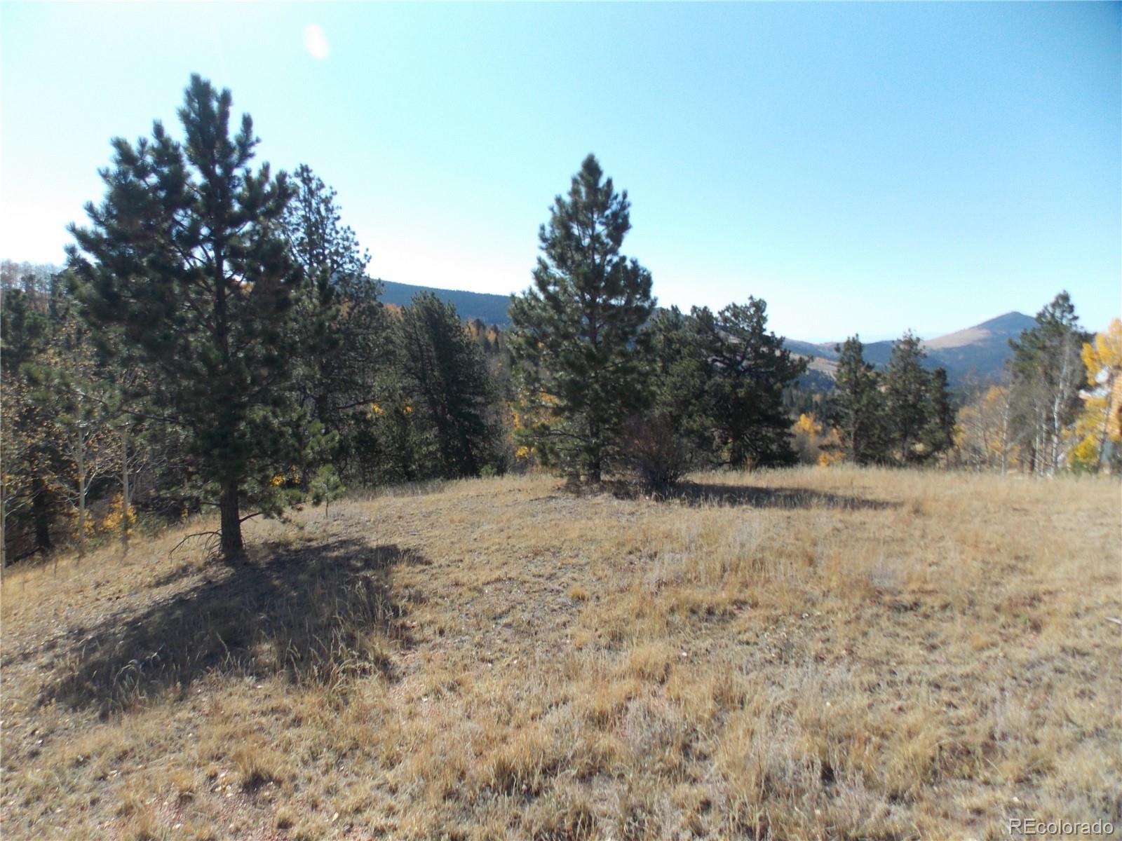 1944 May Queen Drive Cripple Creek CO 80813