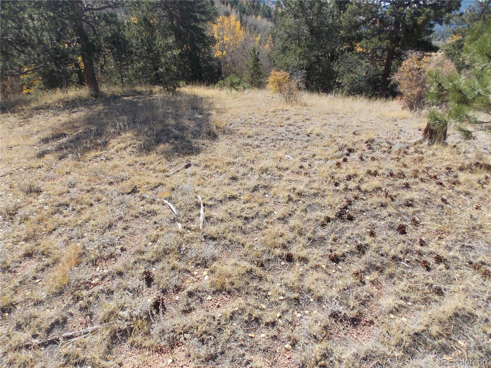1944 May Queen Drive Cripple Creek CO 80813