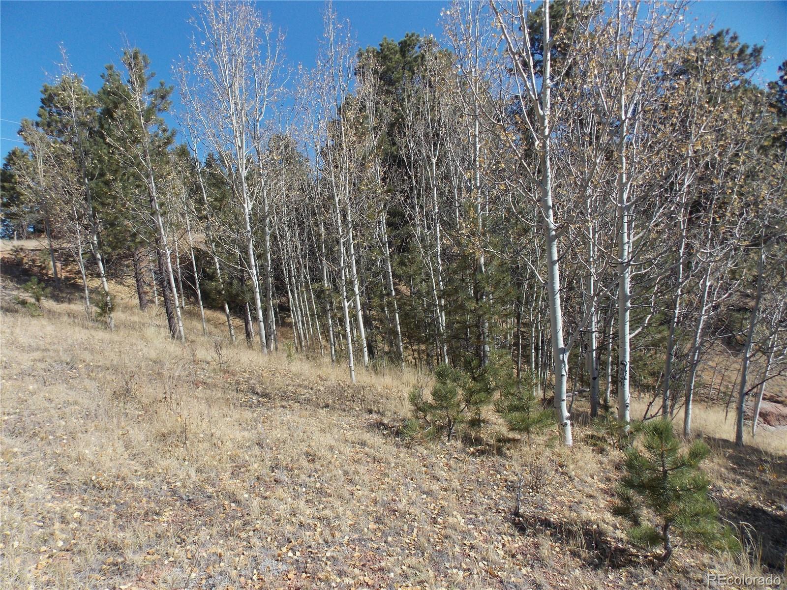 1944 May Queen Drive Cripple Creek CO 80813