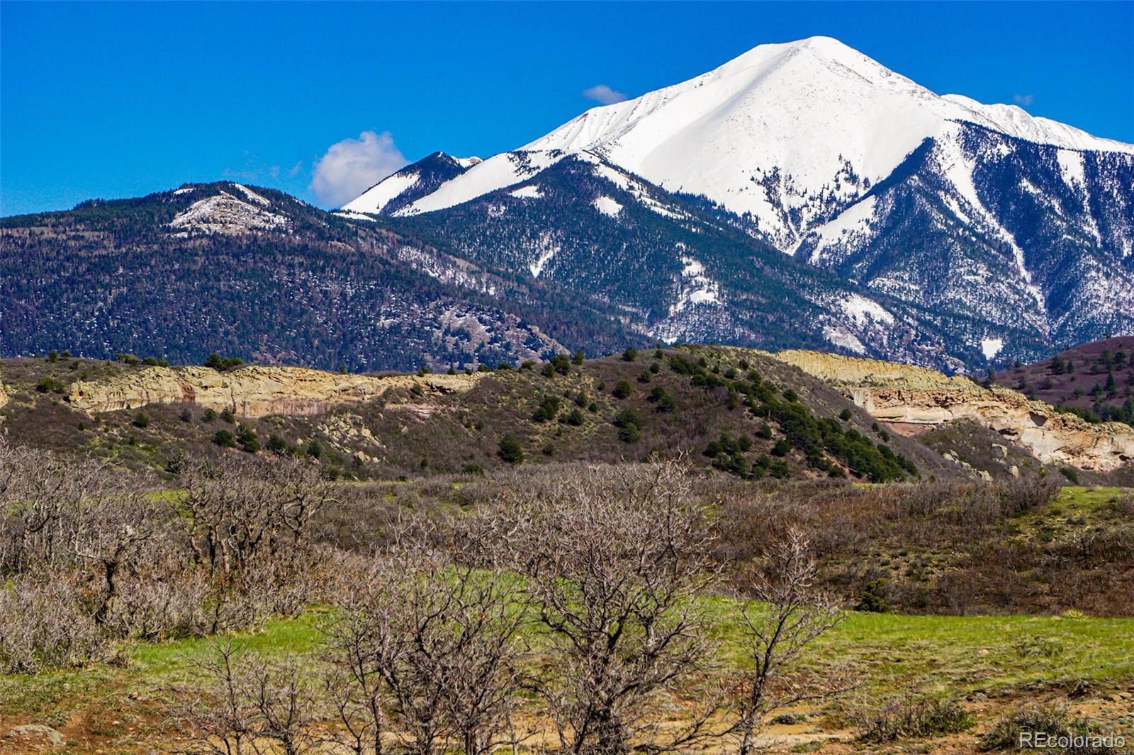Tbd Rilling Canyon La Veta CO 81055