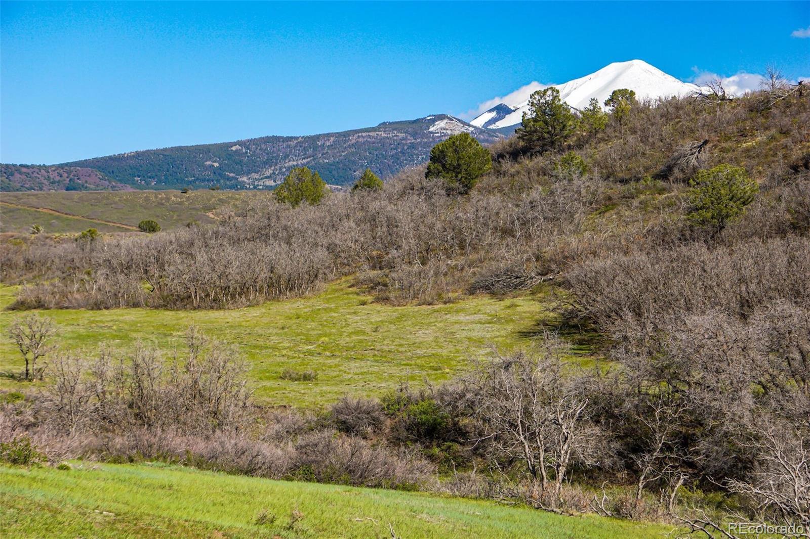 Tbd Rilling Canyon La Veta CO 81055