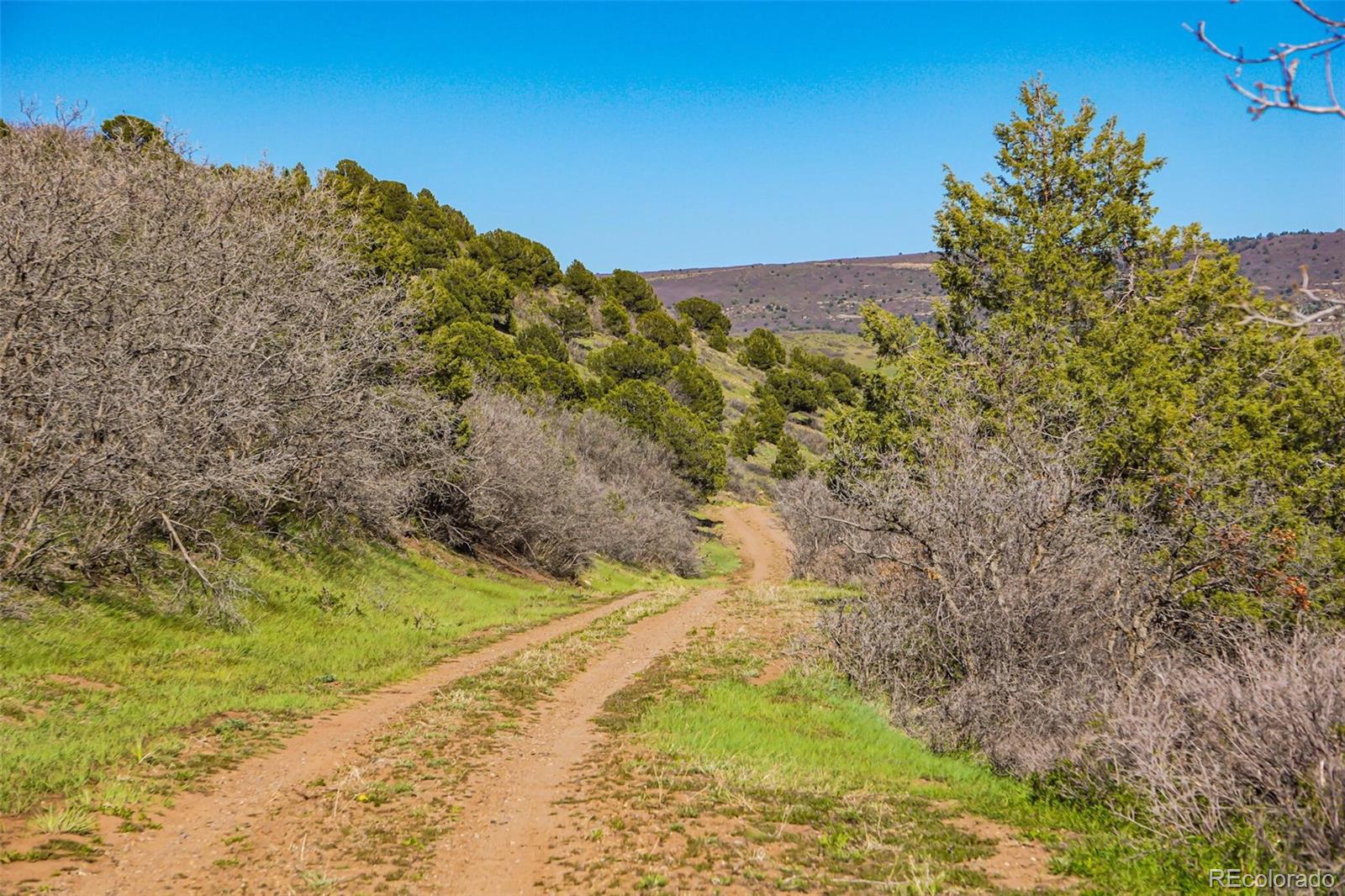 Tbd Rilling Canyon La Veta CO 81055