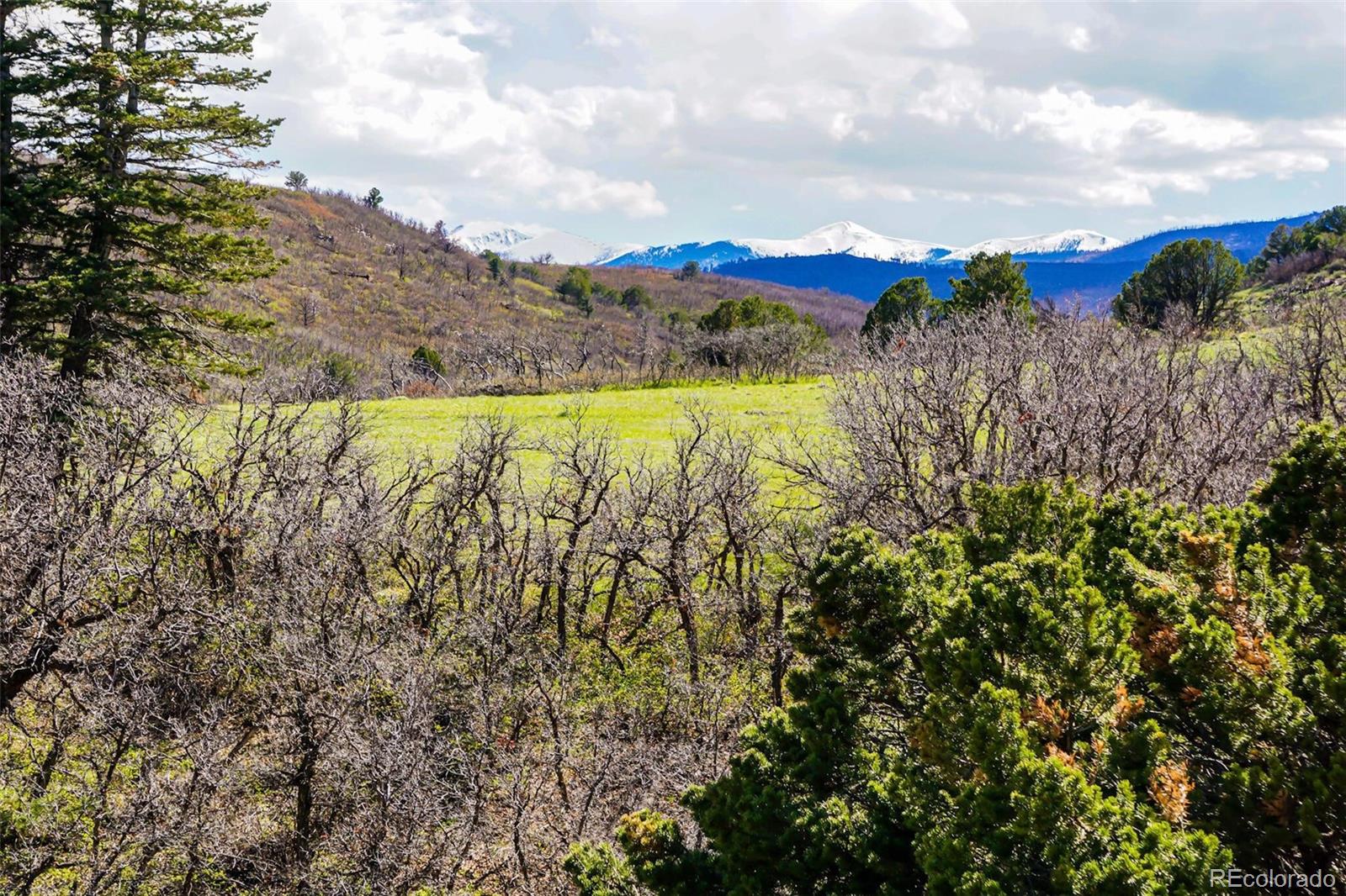 Tbd Rilling Canyon La Veta CO 81055