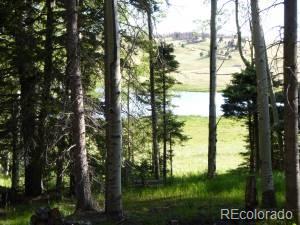 2352 Benton Place Fort Garland CO 81133
