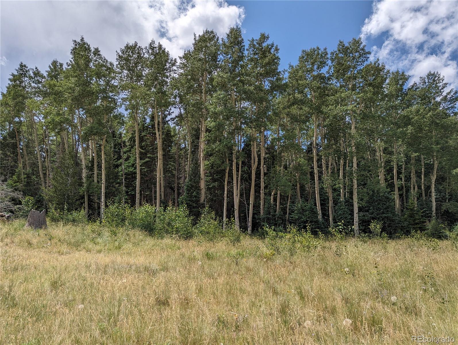 2352 Benton Place Fort Garland CO 81133