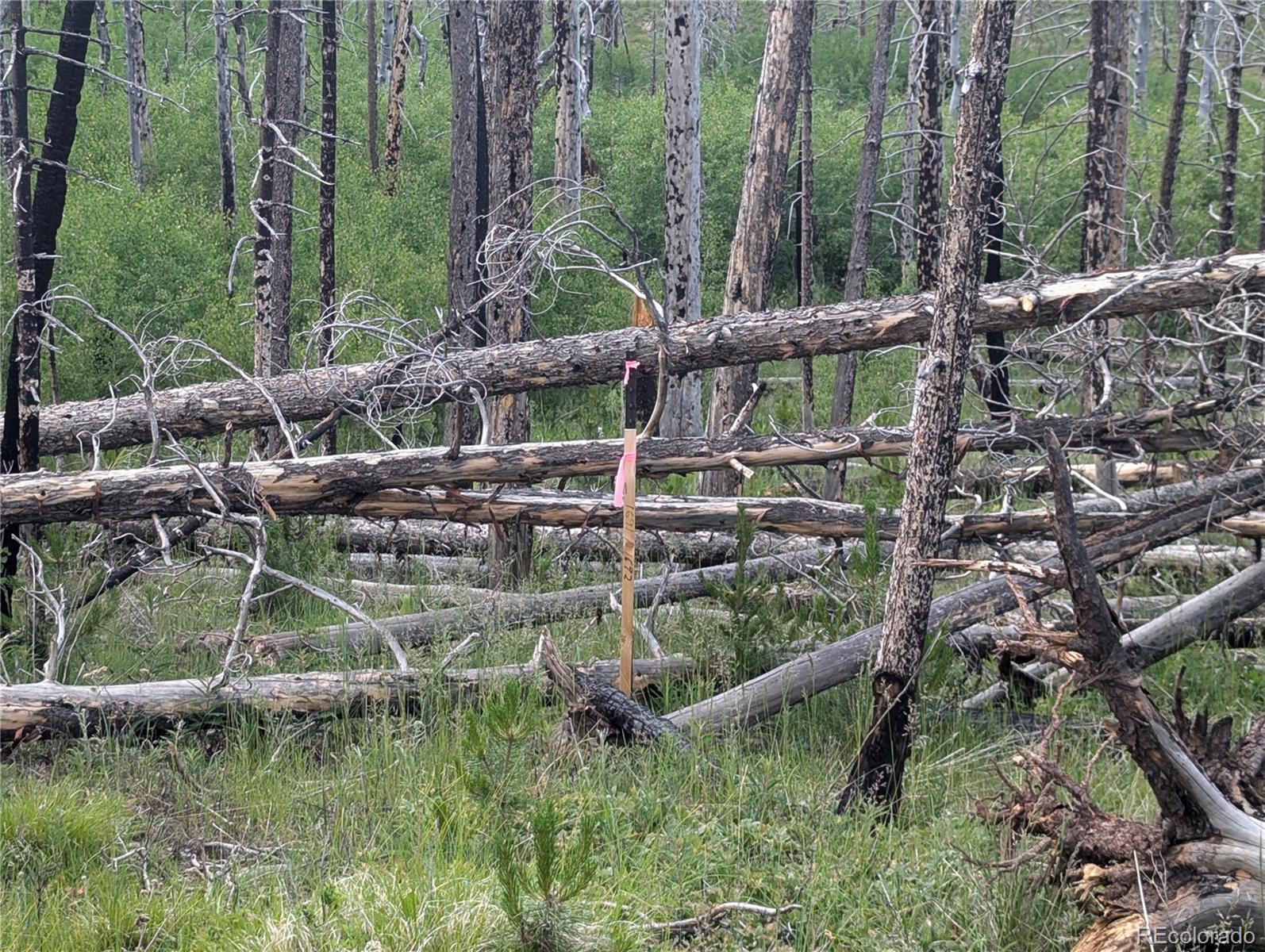 1692 Trimm Place Fort Garland CO 81133