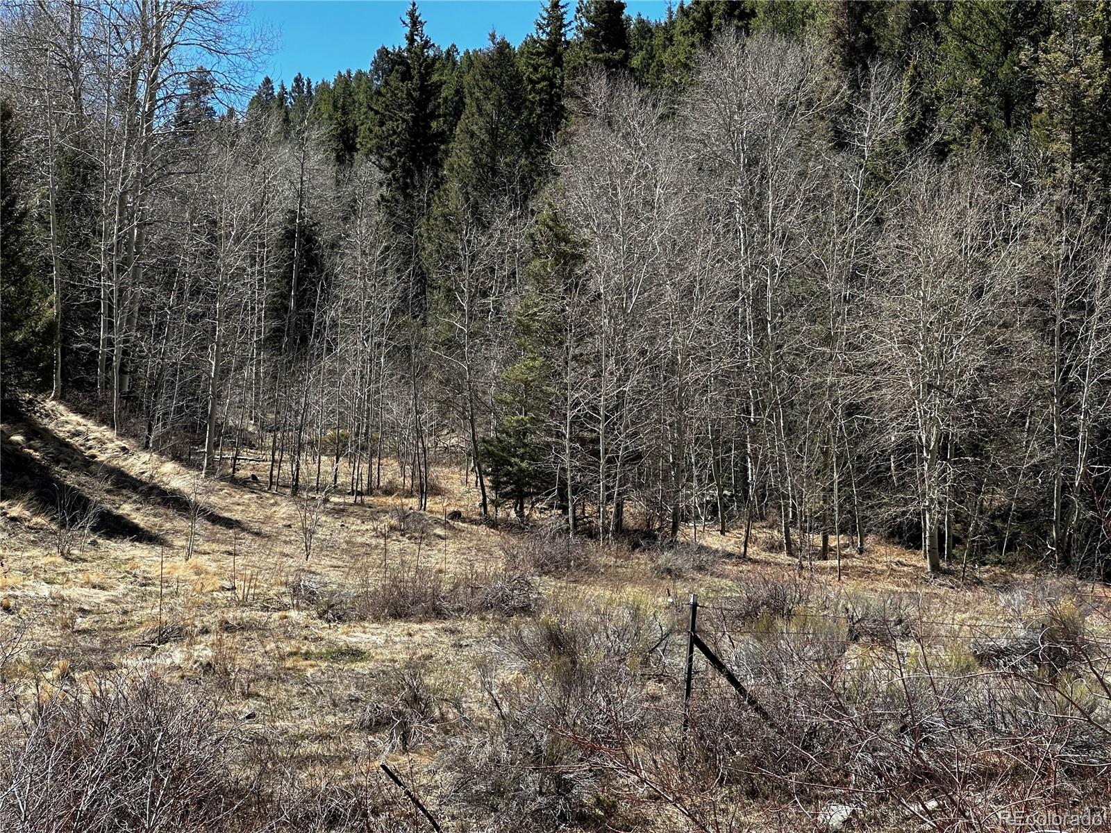 Lot 223 Highway 160 Fort Garland CO 81133