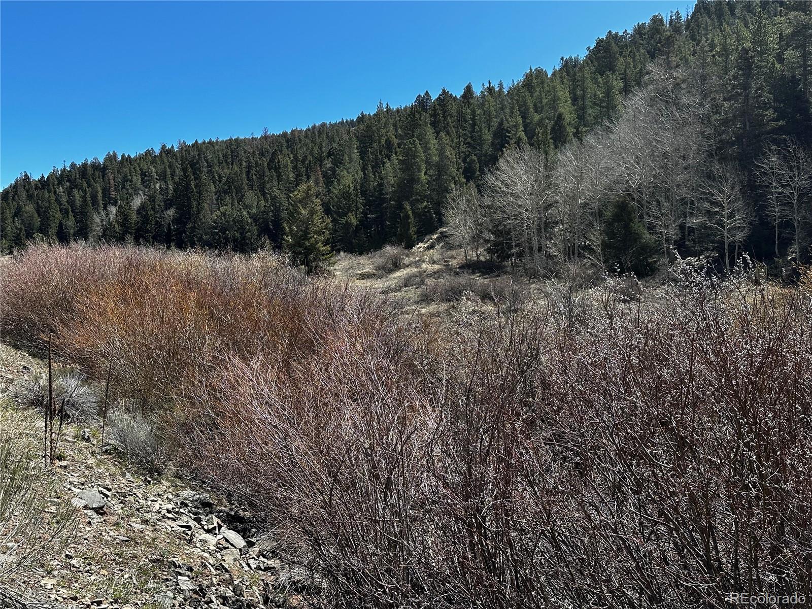 Lot 223 Highway 160 Fort Garland CO 81133