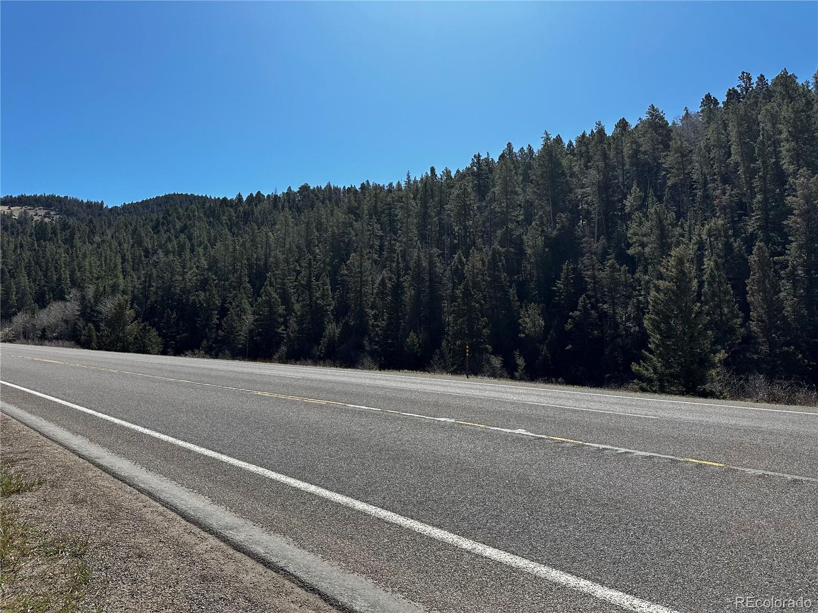 Lot 223 Highway 160 Fort Garland CO 81133