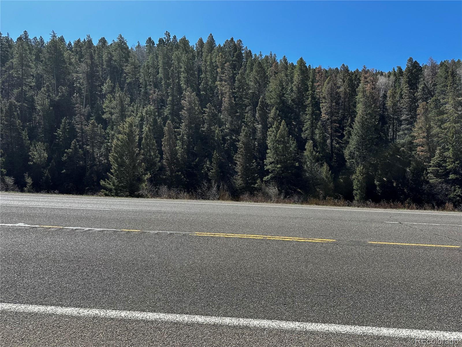 Lot 223 Highway 160 Fort Garland CO 81133