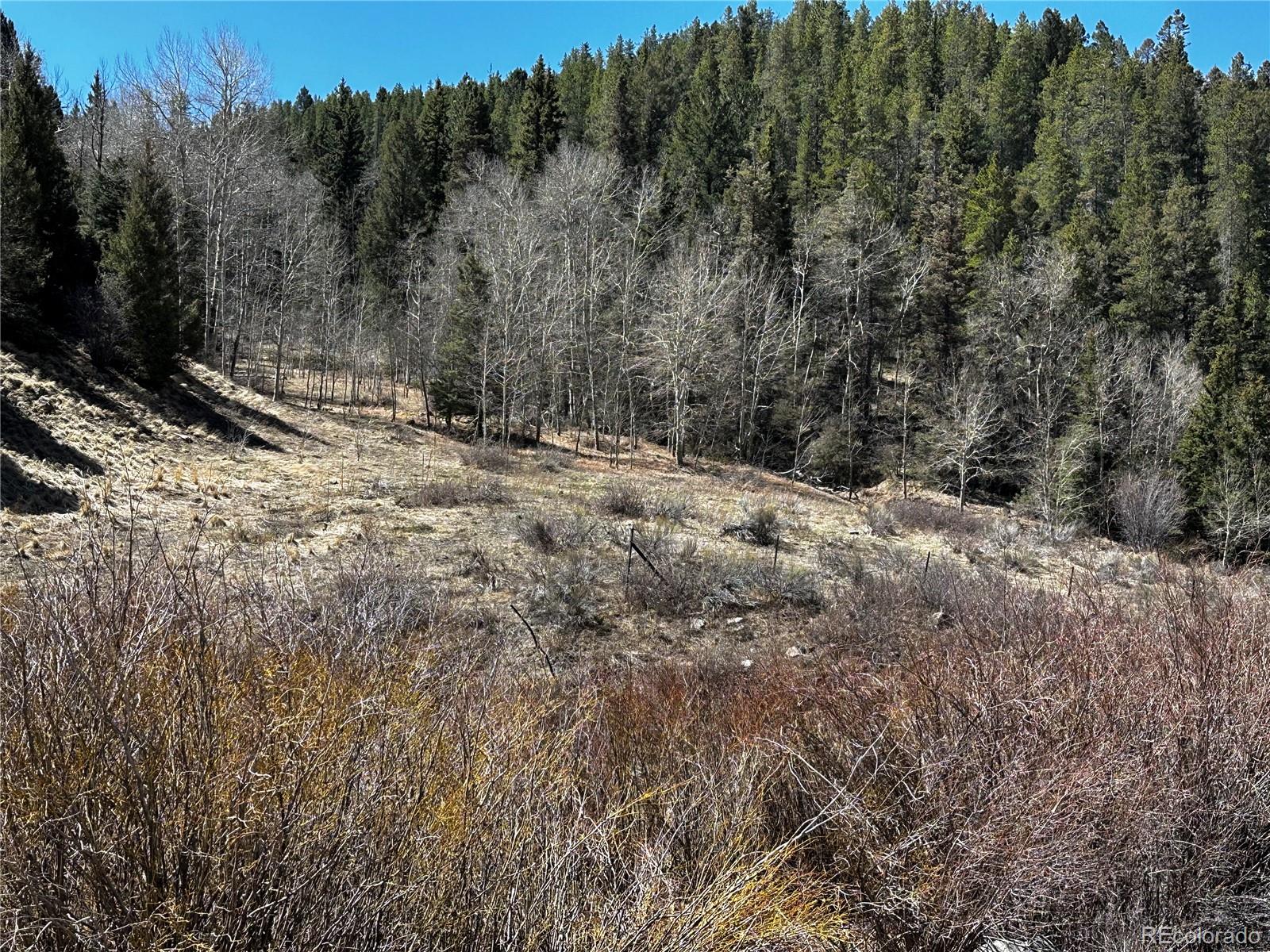 Lot 223 Highway 160 Fort Garland CO 81133
