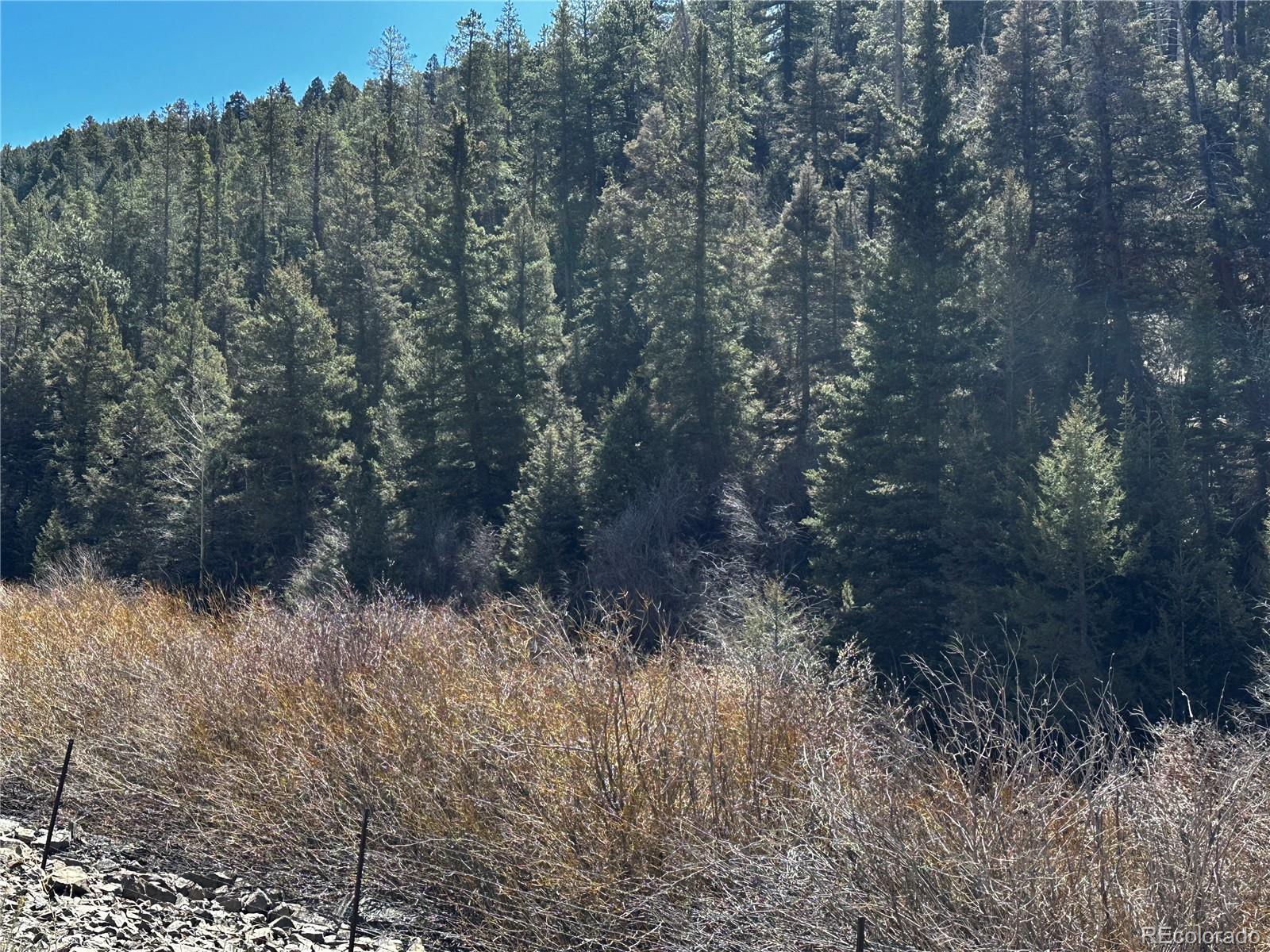 Lot 223 Highway 160 Fort Garland CO 81133