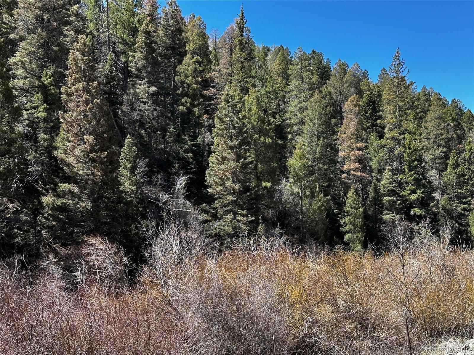 Lot 223 Highway 160 Fort Garland CO 81133