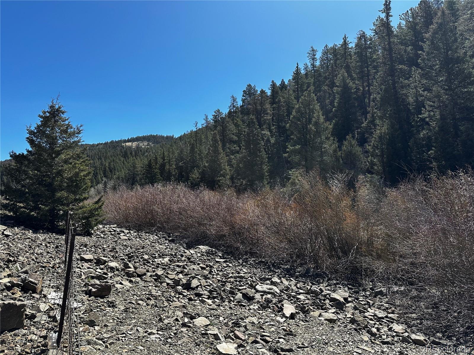 Lot 223 Highway 160 Fort Garland CO 81133