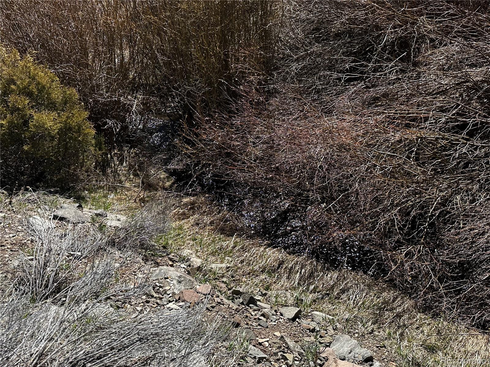 Lot 223 Highway 160 Fort Garland CO 81133