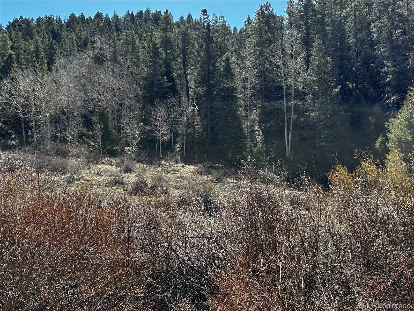 Lot 223 Highway 160 Fort Garland CO 81133