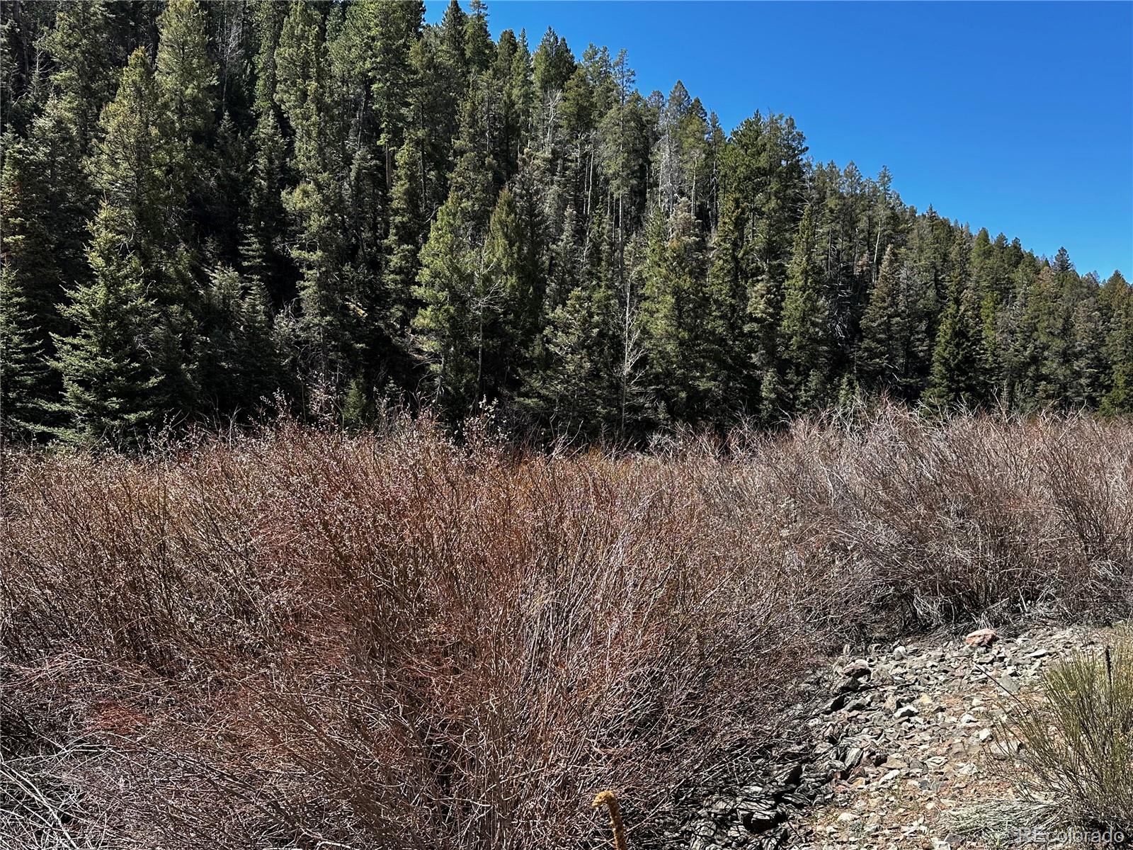 Lot 223 Highway 160 Fort Garland CO 81133