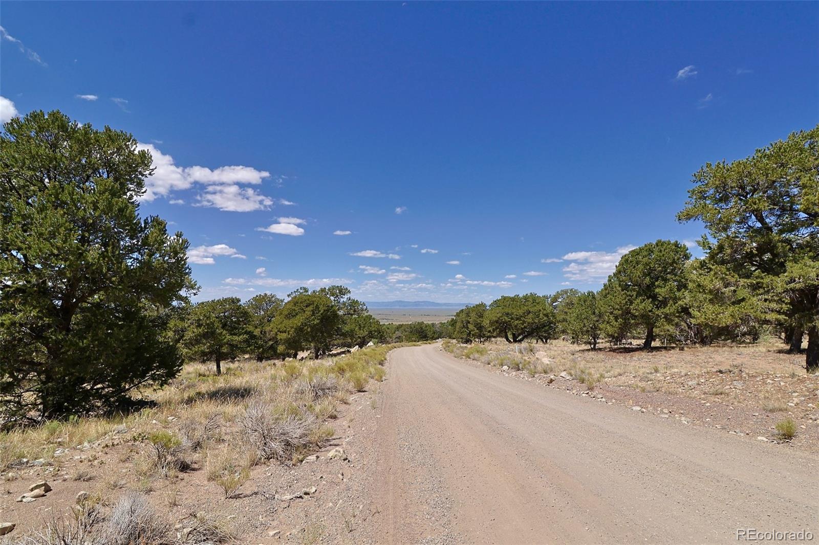4446 Rarity Way Crestone CO 81131