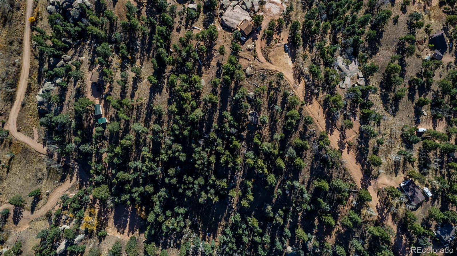 74 Quandry Circle Florissant CO 80816