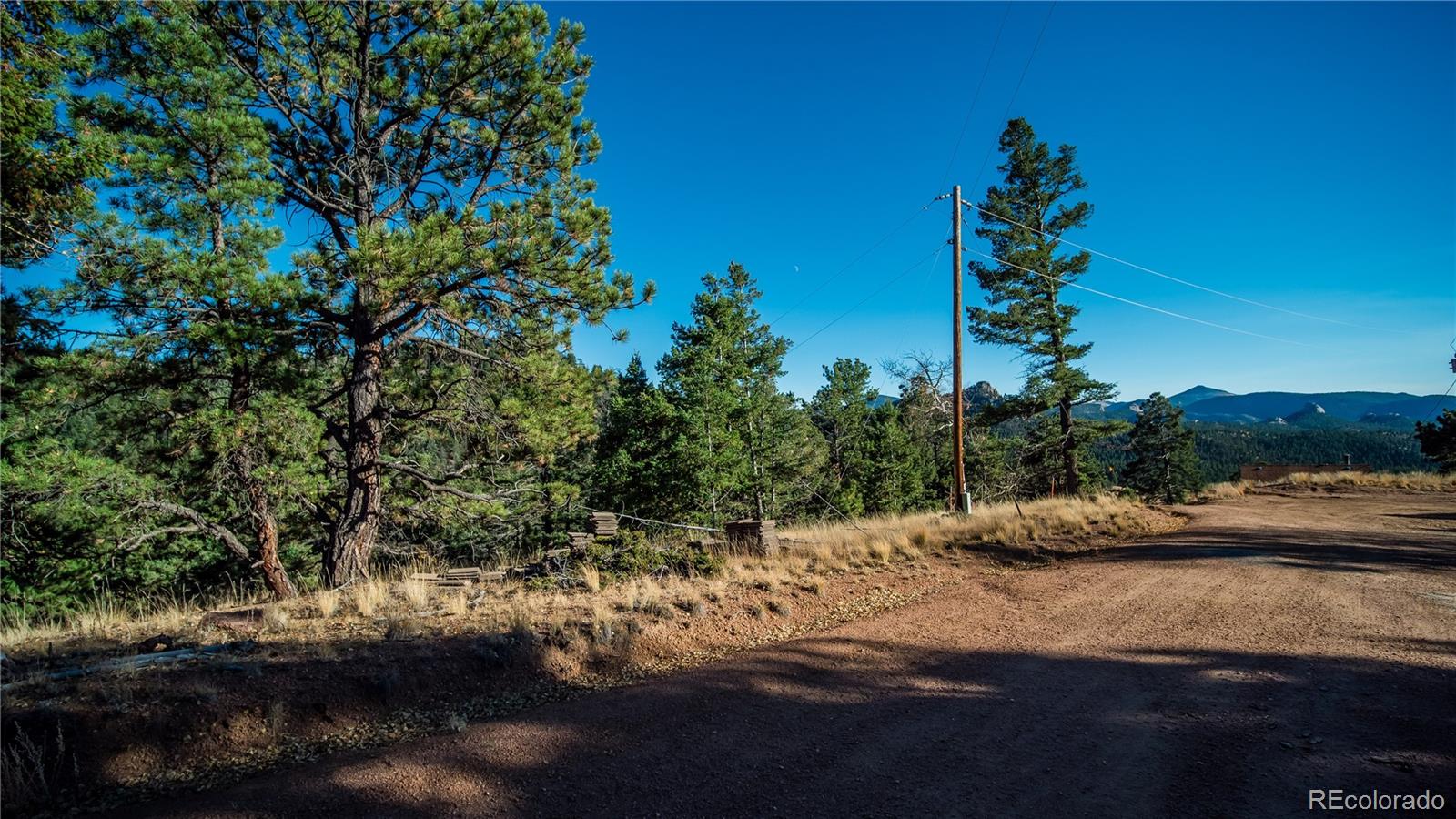 74 Quandry Circle Florissant CO 80816