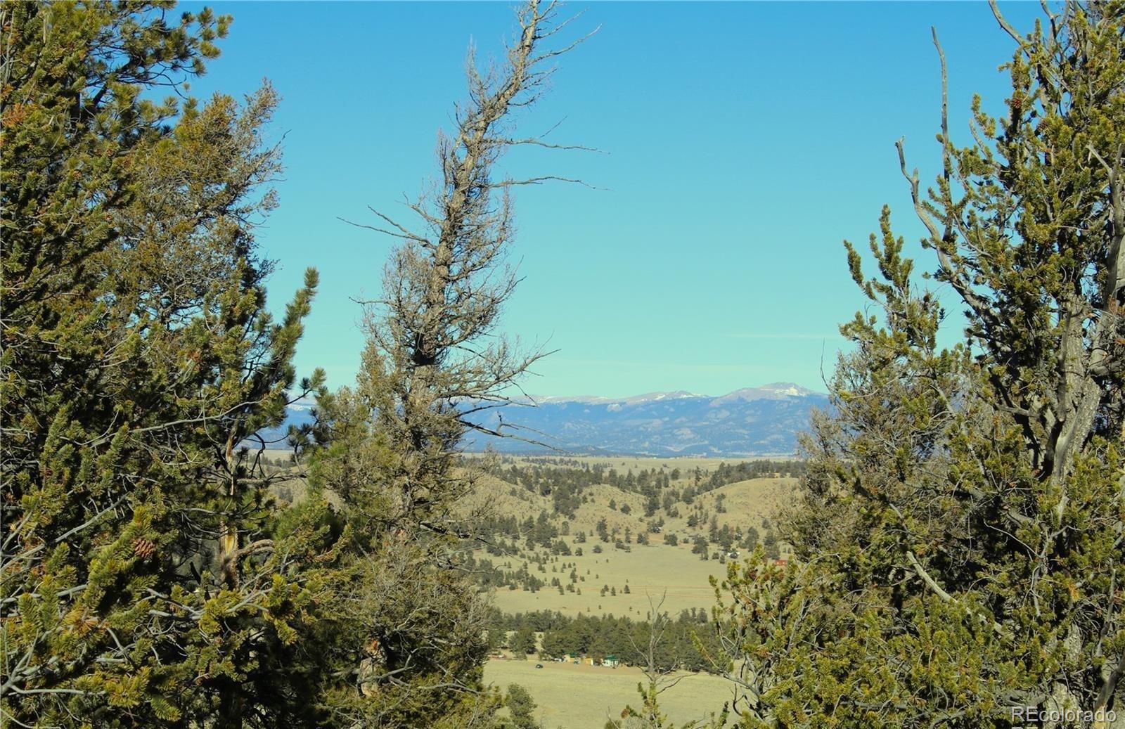 Lot 11 Willow Street Hartsel CO 80449
