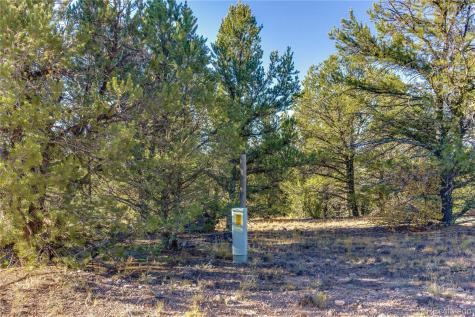 159 Falling Rock Road Cotopaxi CO 81223