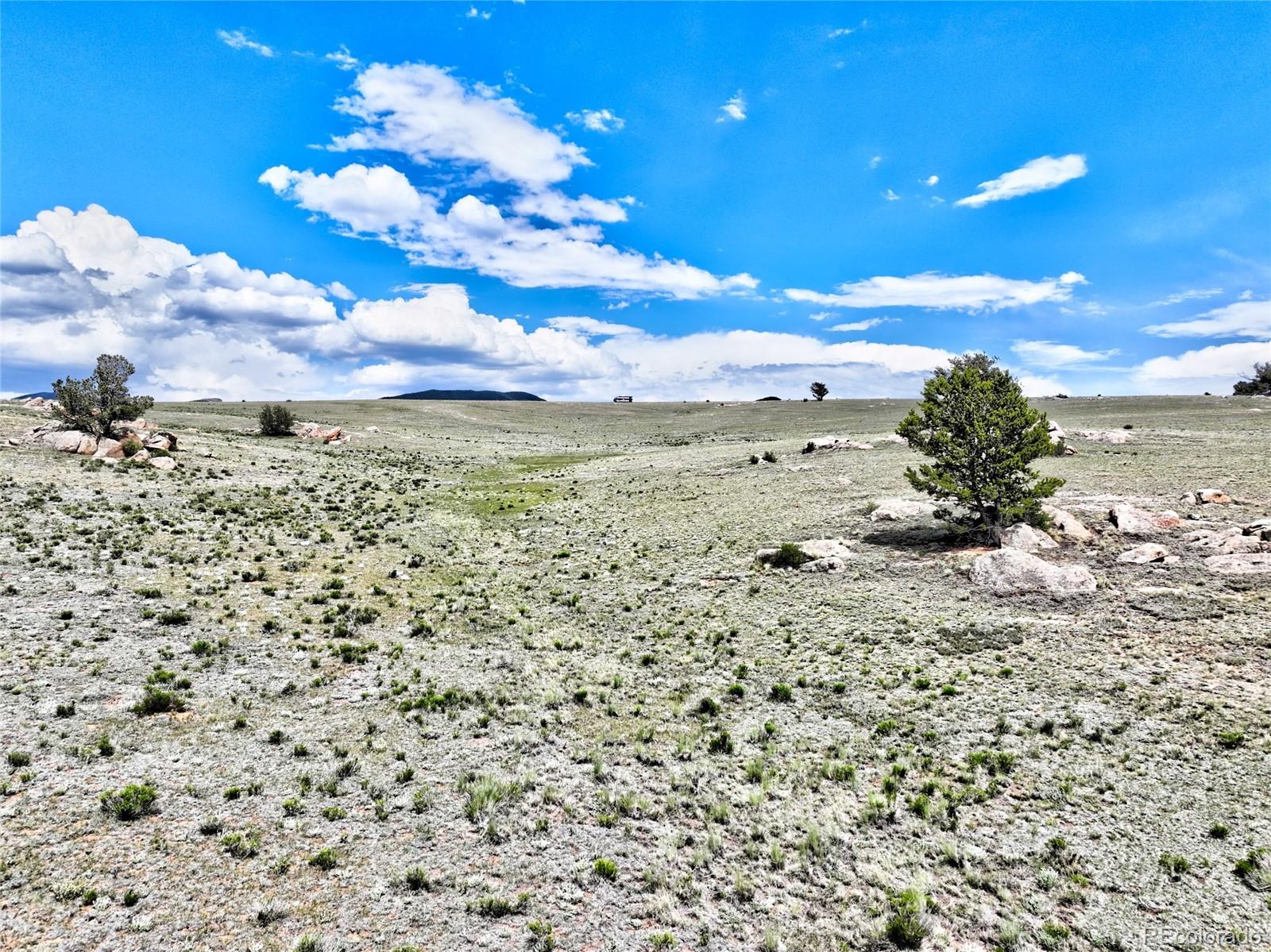 656 Ute Trace Lake George CO 80827
