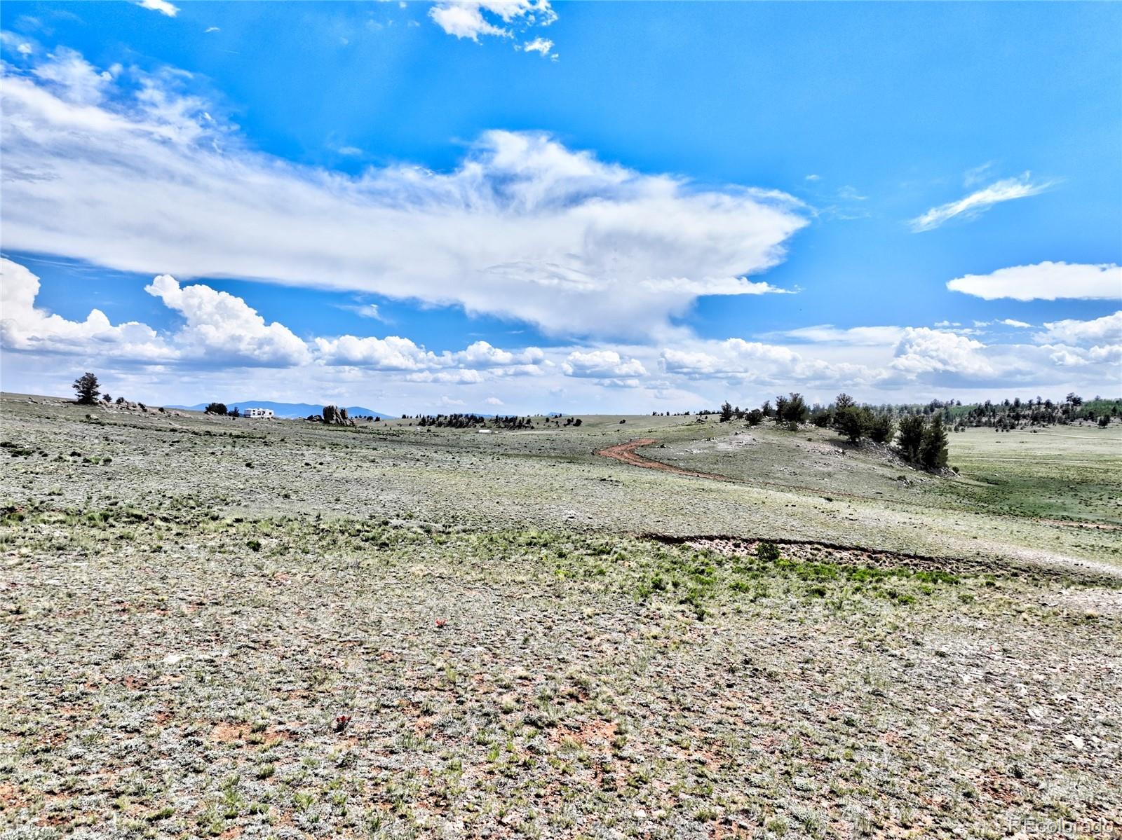 656 Ute Trace Lake George CO 80827