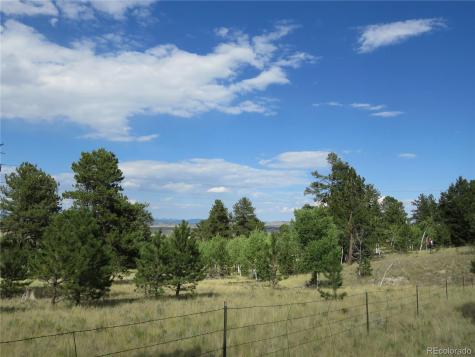 9389 Ranch Road Hartsel CO 80449