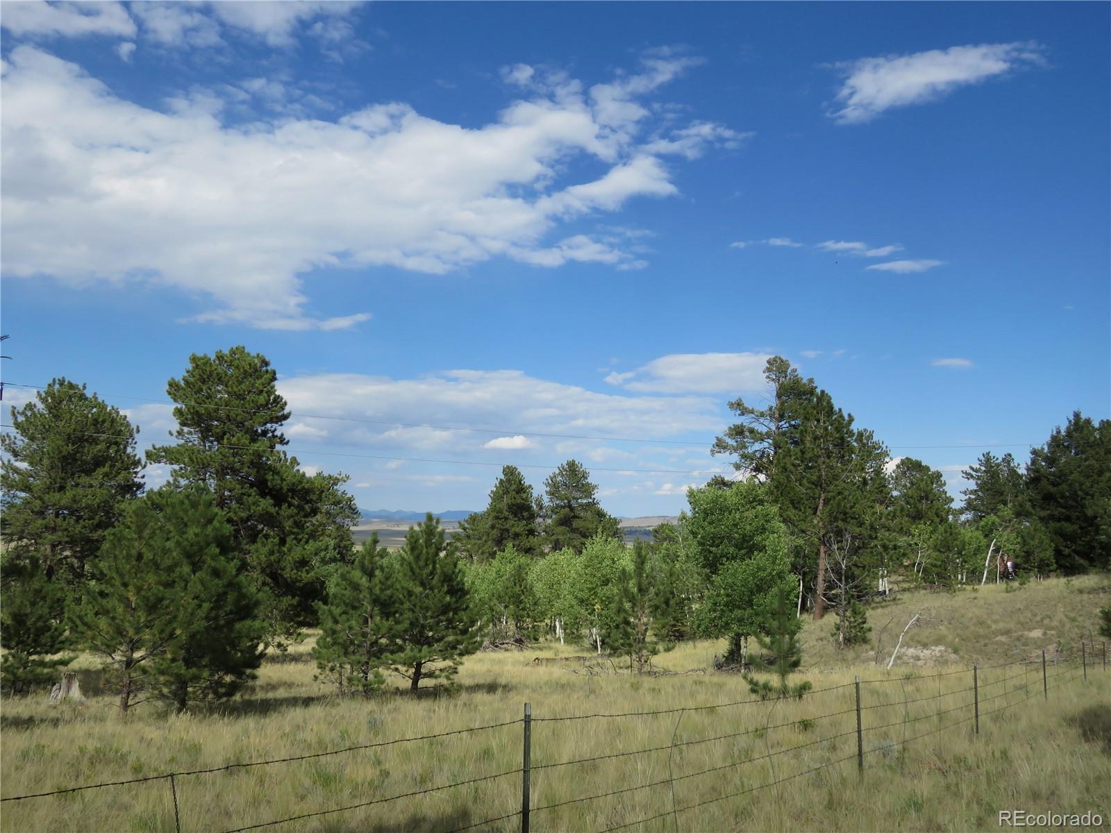 9389 Ranch Road Hartsel CO 80449