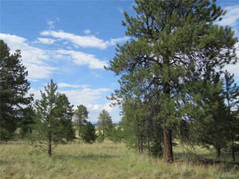 9389 Ranch Road Hartsel CO 80449